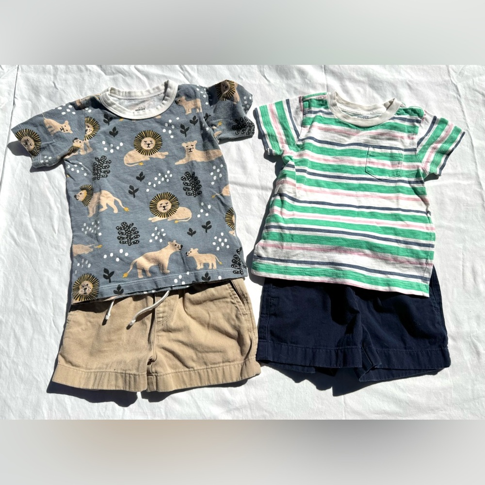 Boys Winter Water Factory Lion Tee, Crewcuts Striped Tee & Shorts Bundle size 2